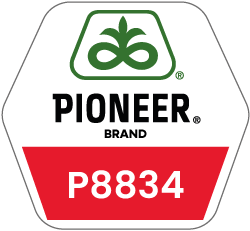 Pioneer - Kukurydza P8834