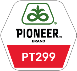 Pioneer - Rzepak PT299
